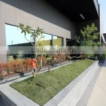 Hong Chiang Technology Industry Co., Ltd. company overview - view 3