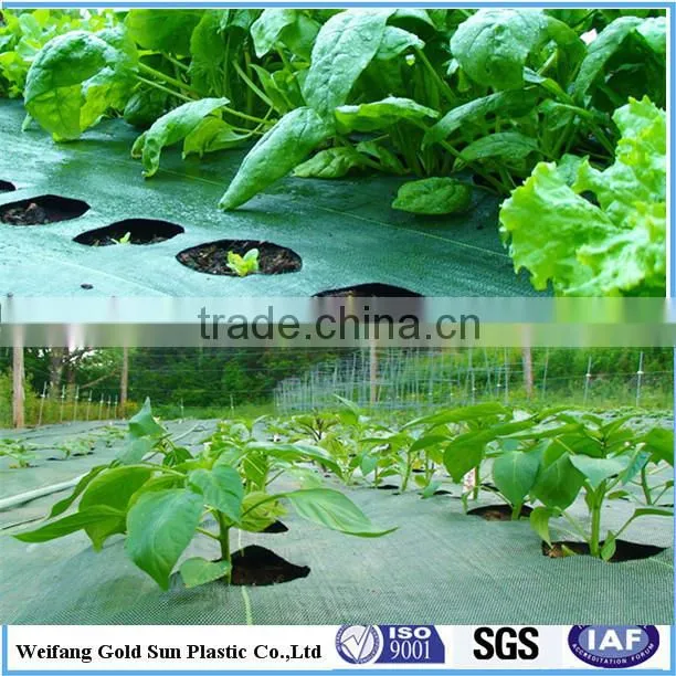 PP WOVEN GROUND COVER/WEED BARRIER/NEEDLE PUNCHED FABRIC/PP WOVEN GEOTEXTILES