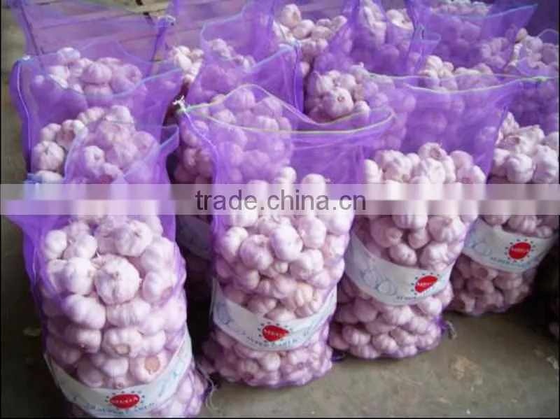 2016 fresh garlic supplier