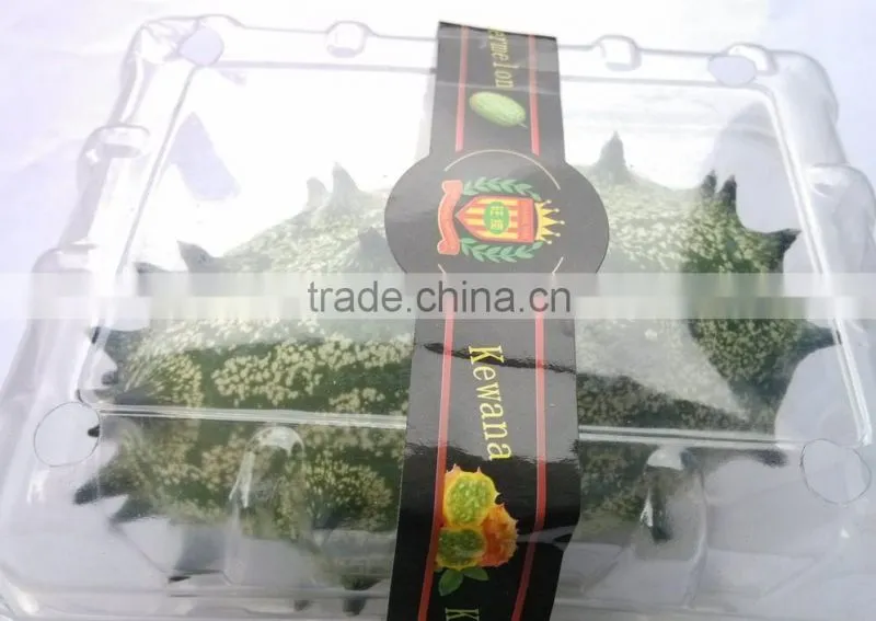 Hedged gourd Melano Kewana Cucumis metuliferus Seeds