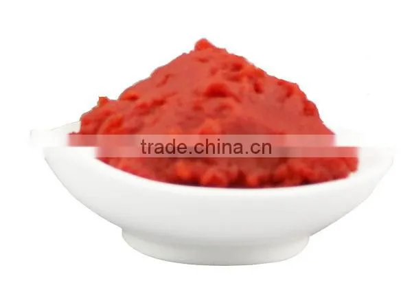 wholesale 70g YOLI brand sachet tomato paste with high quality