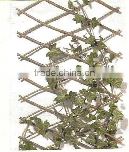 willow expanding trellis