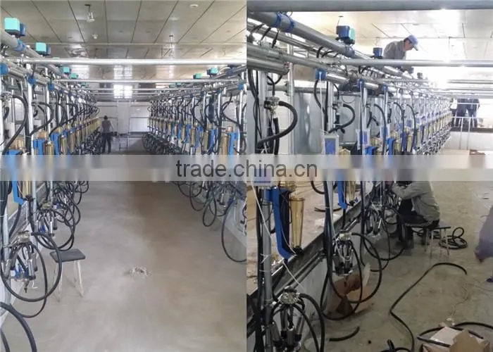 Dairy Farming Milking Equipment Automatic Milking Parlor