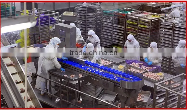 Over 20 years Manufactory Iso/CE Hight quality Drumstic and Fruit/Seafood Weighing Grader