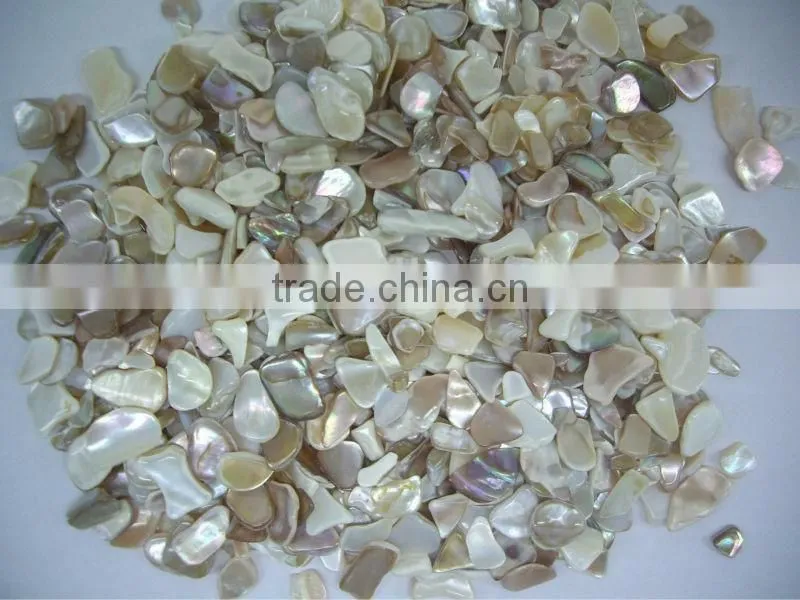 Natural paua crushed abalone shell chips