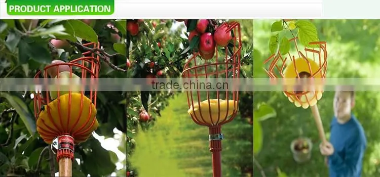 Wholesale high quality long handle telescoping garden tool fruit picker with basket