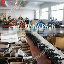 Shanghai Xinnai Packing Machine Co., Ltd. company overview - view 2