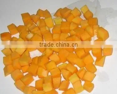 vegetable and fruit dicing machine for processing cutting