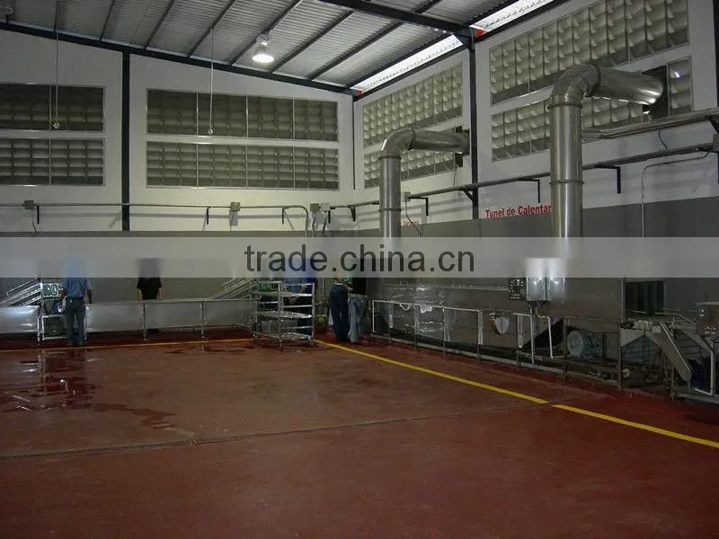dehydrated vegetable processing dried fruit production line