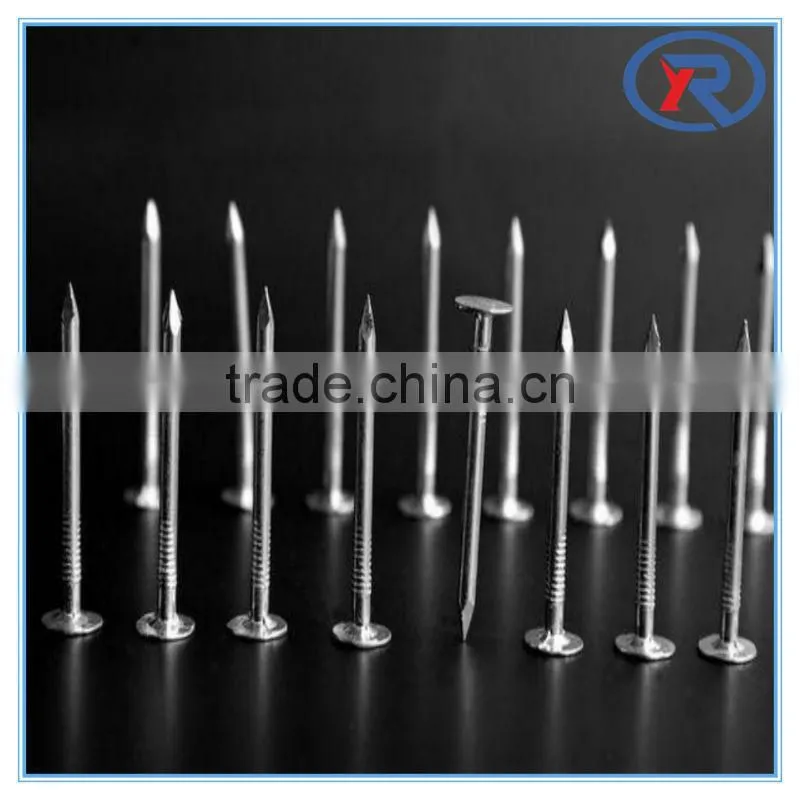 low price stainless galvanized concrete nails