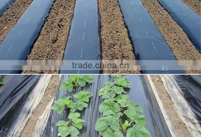 Perforated Black Agricultural Mulch Film for Weed Control