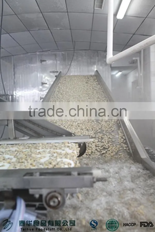 New Wholesale Seafood Razor Clam Meat Best Clean