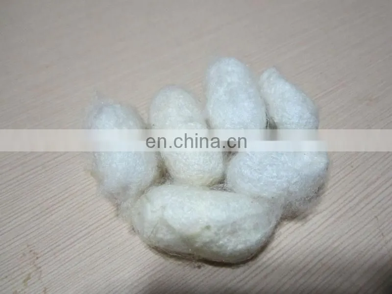 White Eri Cocoon