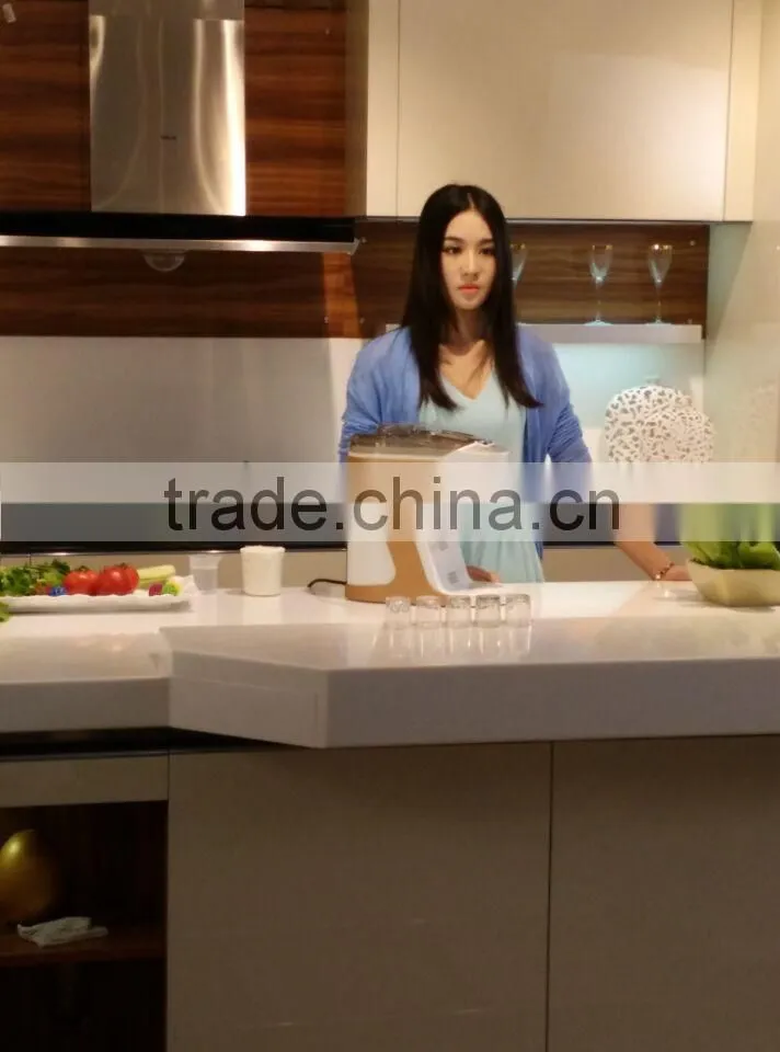 Household Appliances Fully automatic noodle machine