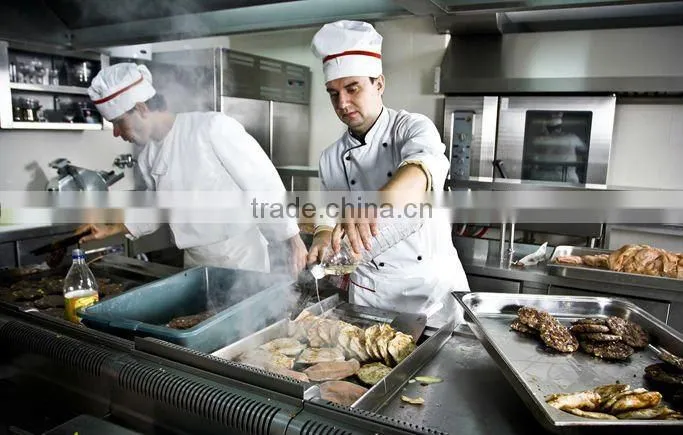 Stainless Steel Square Electric Griddle/Restaurant Equipment