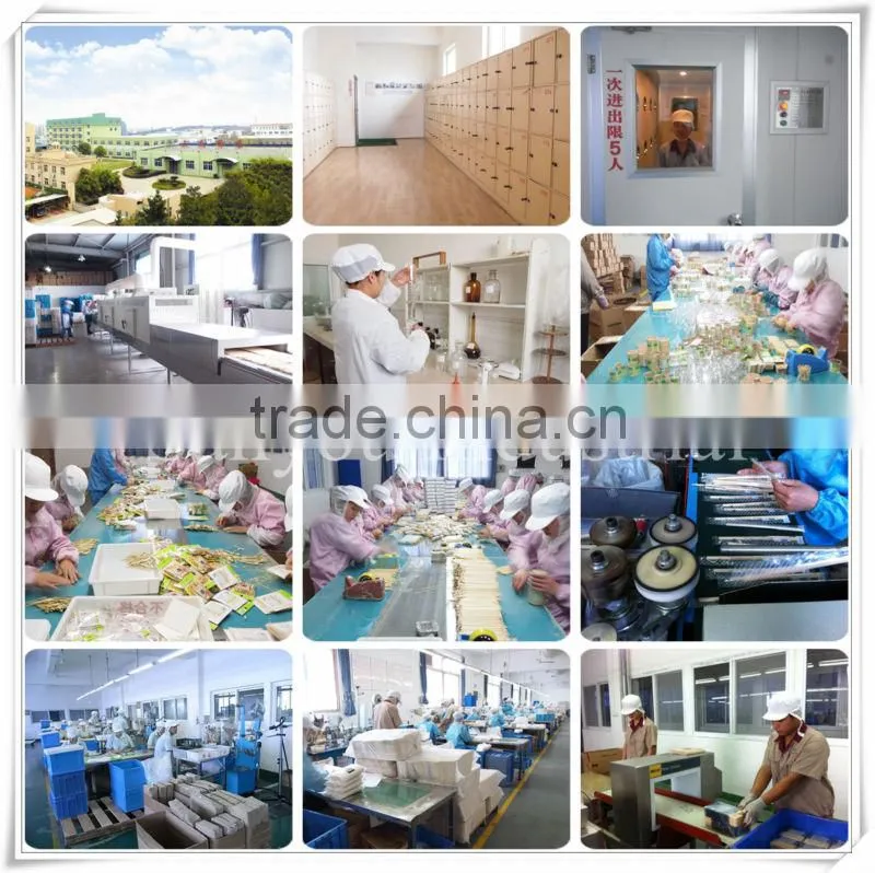 High quality paper terile toothpicks OEM in China