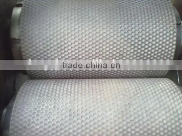 Double roller extruding granulator for fertilizer equipment