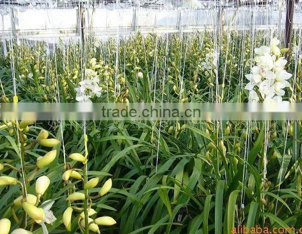 Garden Plant Hook