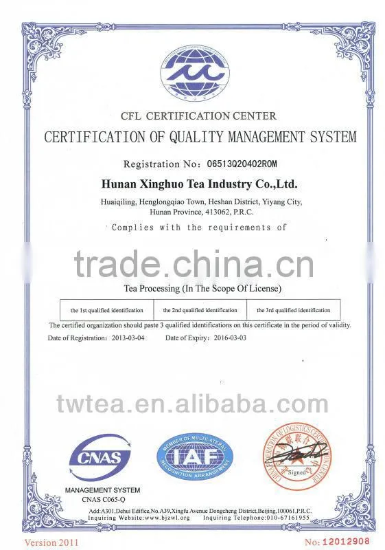 New harvested Spring tea dust green tea bag EU standard