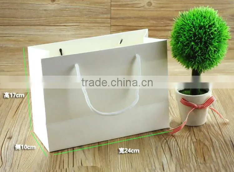 Nice Various Size White Shopping Paper Bag,Cheap Kraft Paper Coin Pouch