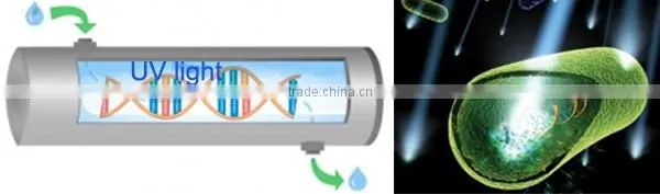 Water tank disinfection system UV sterilizer
