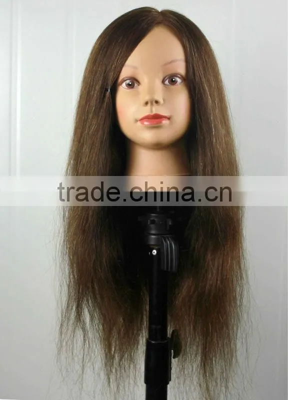 high quality Training mannequin head