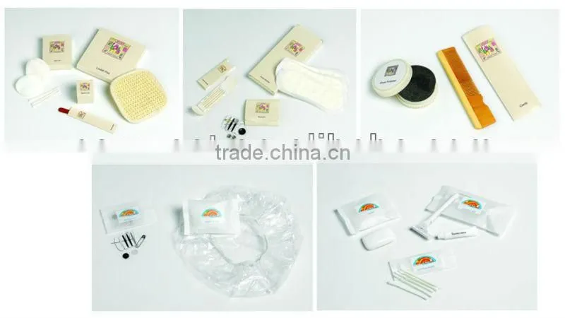 Travel Dental Kit
