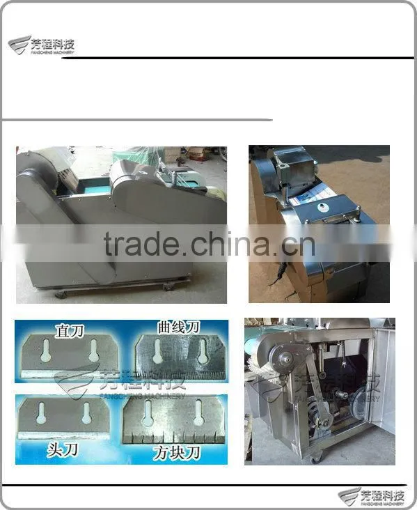 FC Hot Selling High Efficient Automatic Vegetable Cutter/Vegetable Cuttting Machine