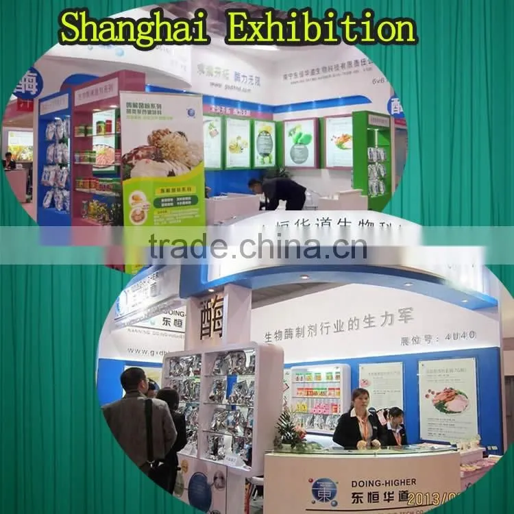 Food grade plant extract manufacturer direct selling pineapple extract powder bromelain