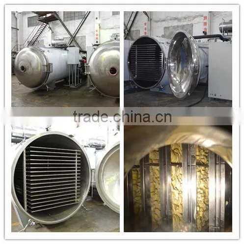 LTDG-Series Vacuum Freeze Drying Machine