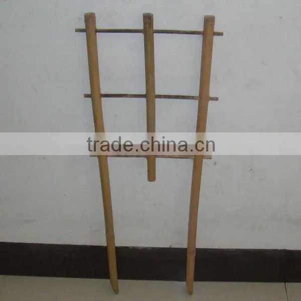 Bamboo ladder