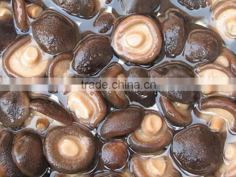 nameko in brine