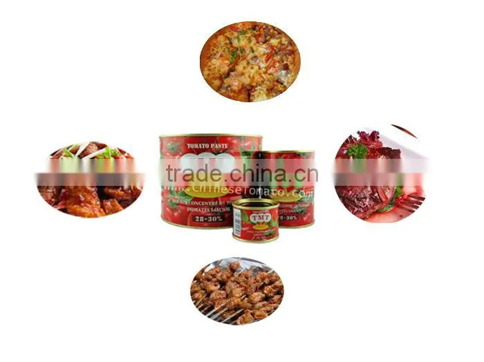 70g Tomato Paste of VEGO Brand Packing in Sachet