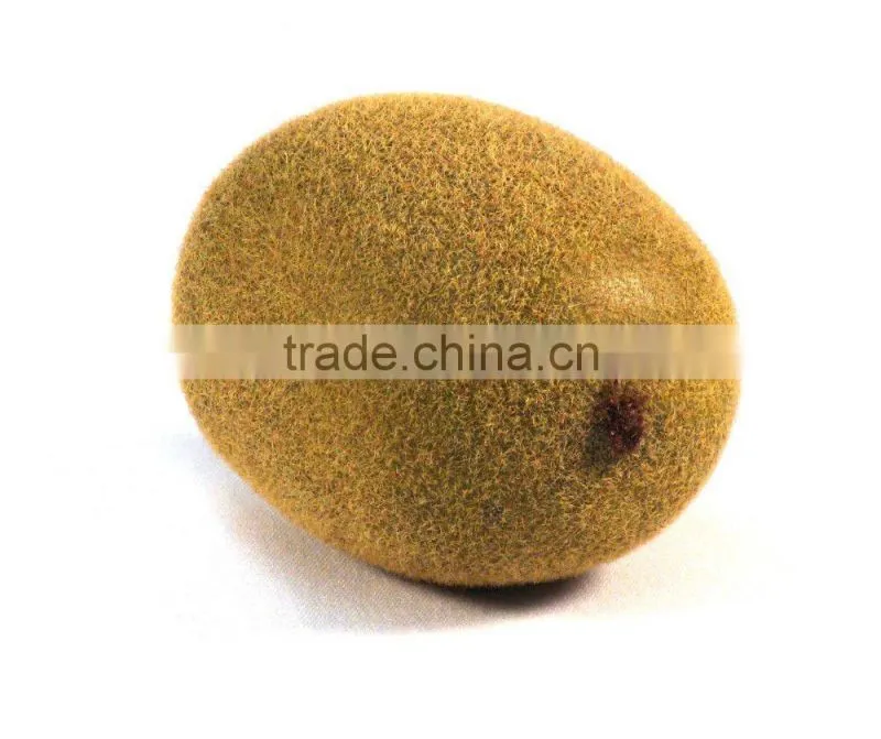 Silk Plants Direct Kiwi Fruit Artificial Fruits Fake Kiwi Artificial Kiwi