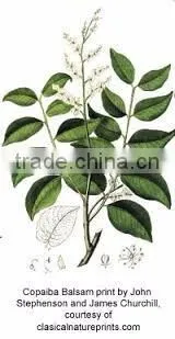 Best pure sesame oil for bulk