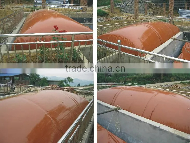 TURNKEY Biogas Plant, Biomass Plant, Biogas Project, Biogas Power Plant, Small Biogas Plant, Biomass CHP