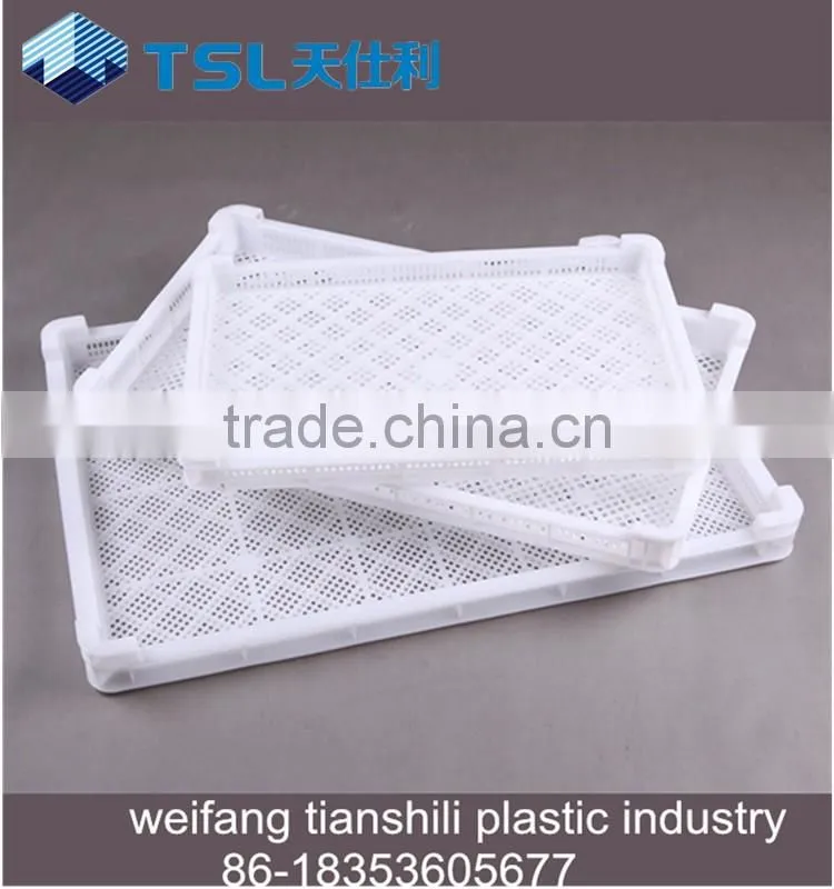 2017 PE type frozen food plastic tray