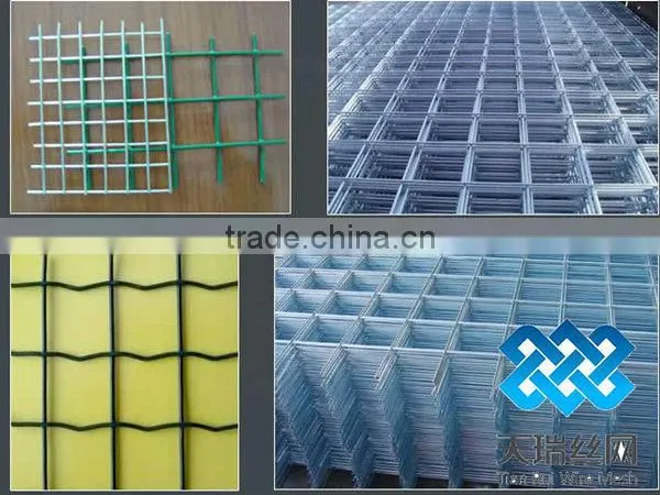 50x50mm opening galvanized Welded Wire Mesh