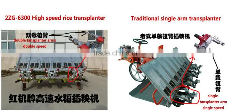 6rows paddy rice transplanter