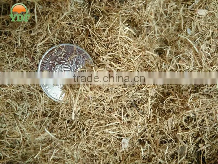 Oil palm EFB pellet mill exported to Vietnam