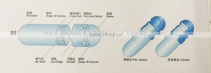 High Quality Hard Gelatin Empty Capsule Size 000