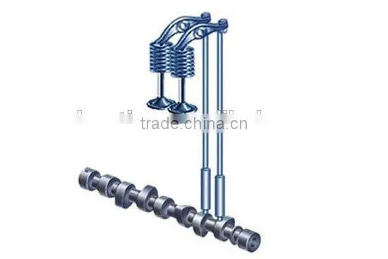 Diesel Engine Parts Camshaft for Ricardo Series