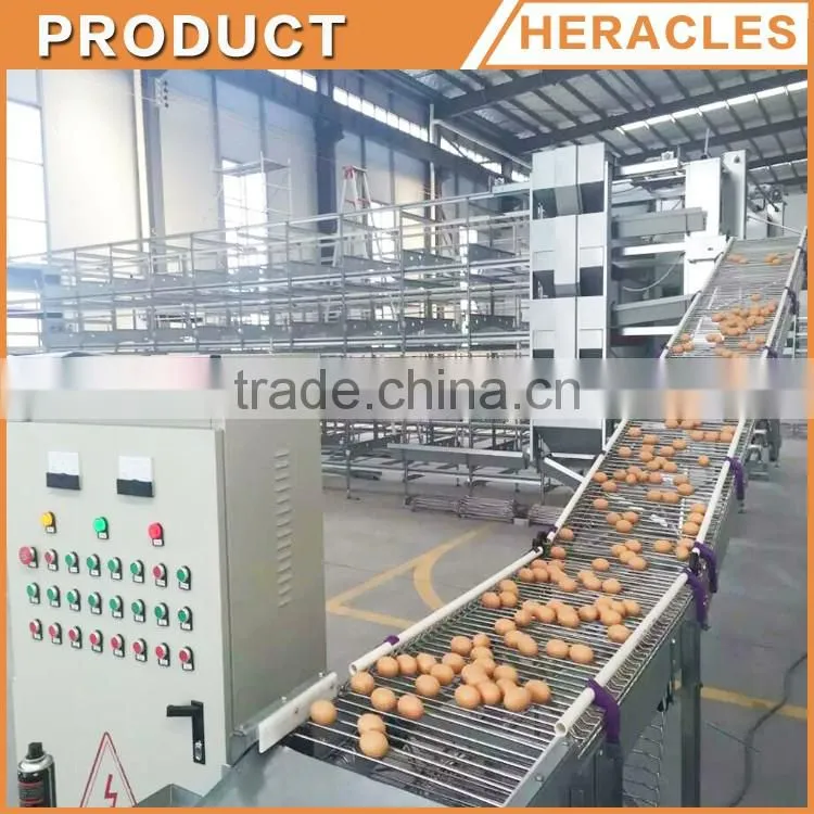 Heracles factory price poultry equipment automatic layer chicken egg cages