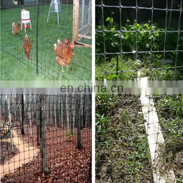 PP Plastic BOP Poultry Breeding Net