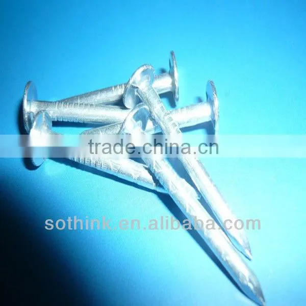 electric galvanized flat head roofing nails