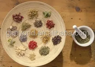 Rose Hip Concentrate Machine for Juice Processing