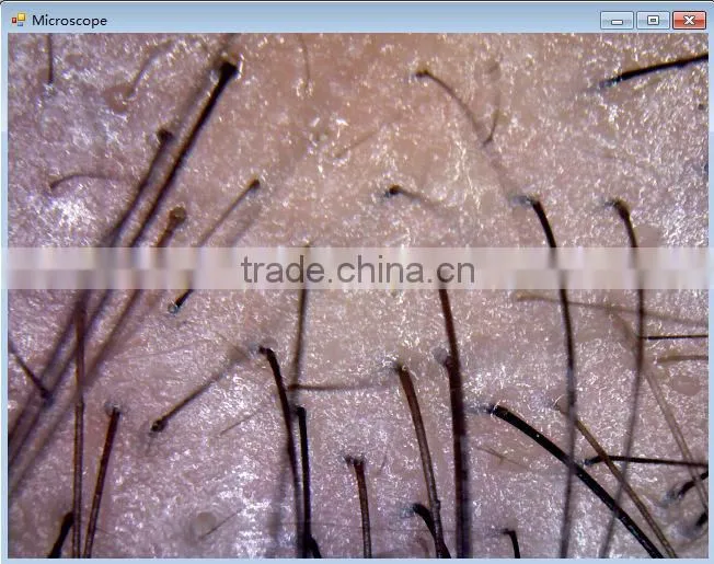 Shenzhen factory wholesale 600 times USB Portable Digital Microscope manufacturers