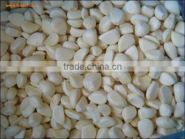 Commercial dry method garlic peeler with CE