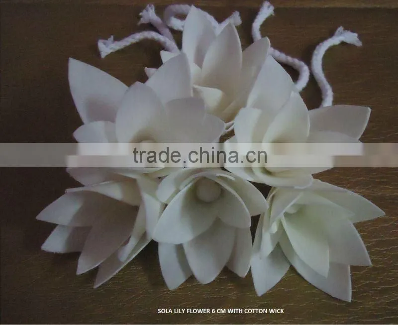 Sola flower