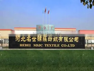 Hebei MSJC Textile Co., Ltd. company overview - view 2